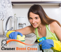 domestic_cleaning
