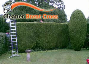 Hedge Maintenance Brent Cross