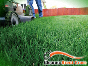 grass-cutting-services-brent-cross