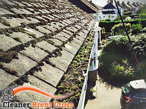 gutter-cleaning-brent-cross